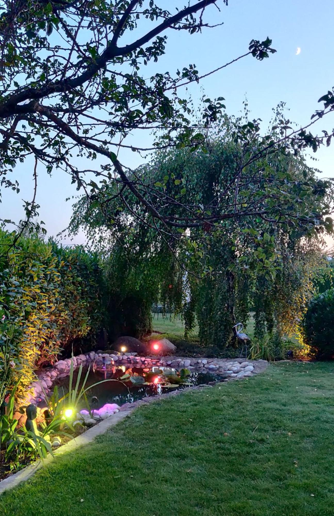 Hillside Homestay Near Luzern By Menbergs Harmony Homestay Hildisrieden エクステリア 写真